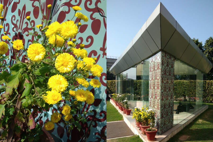 asus-zenfone-3-max-camera-sample