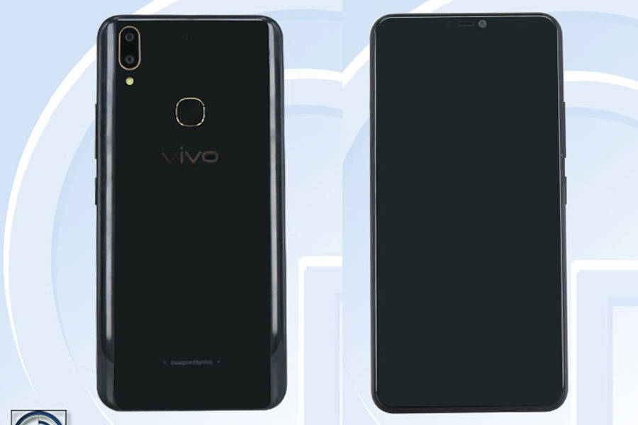 vivo-tenaa