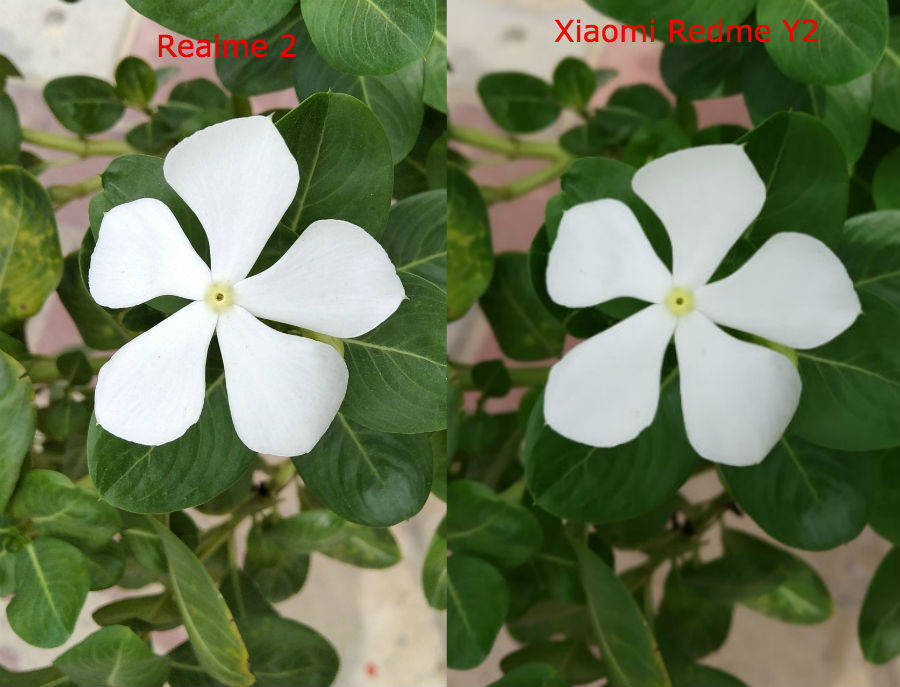 रियलमी 2 इंडिया प्राइस स्पेसिफिकेशन और कंपैरिजन