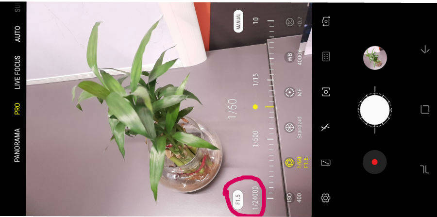 how-to-take-good-photograph-in-low-light-in-hindi