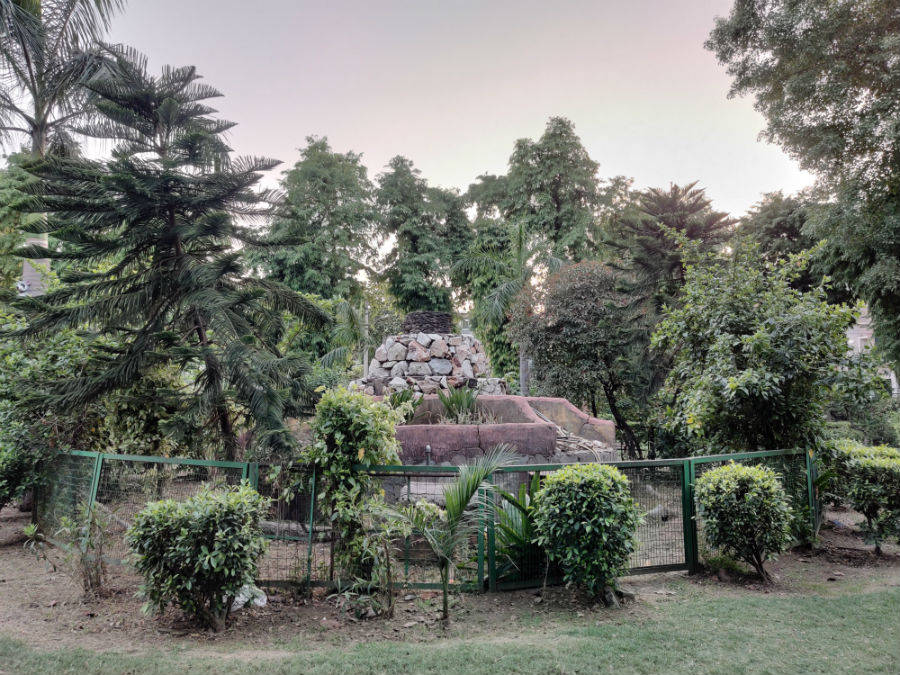 oneplus-camera-sample-11