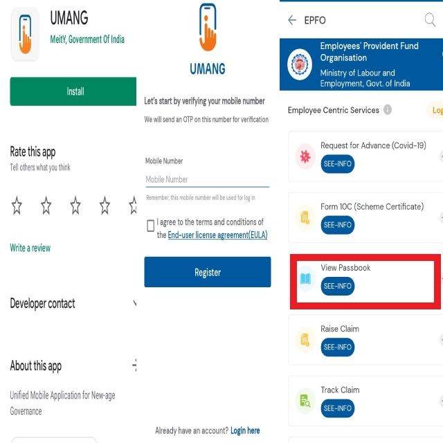 umang-pf-balance-check