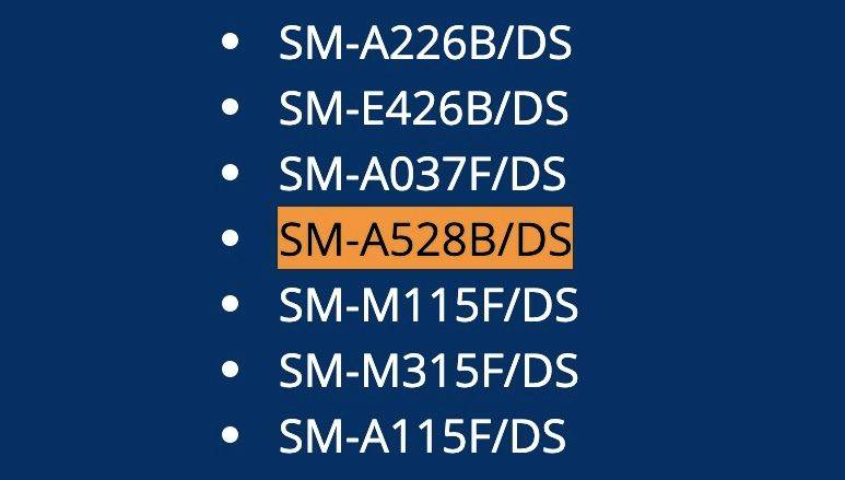 samsung-sm-a528b-bis-india