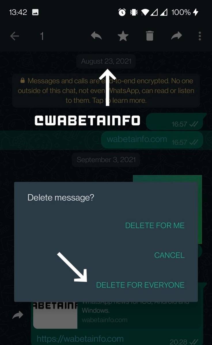 wa_delete_message_everyone_v2_android-768x1253-1