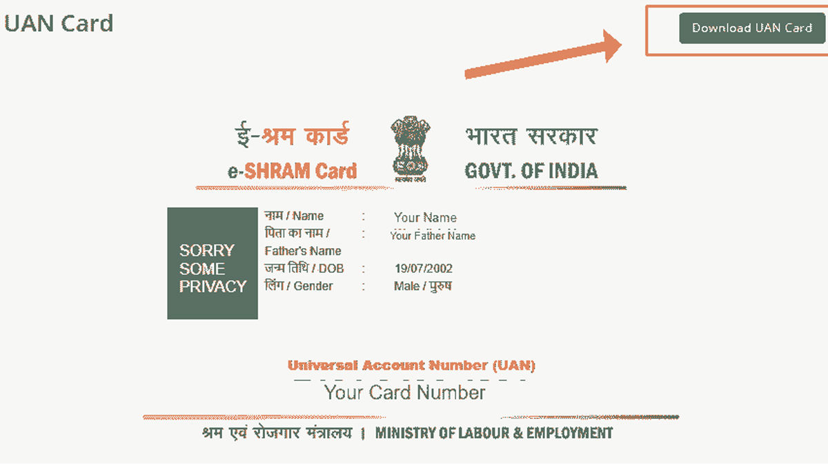 how to apply for e shram card free benefits and full process in hindi