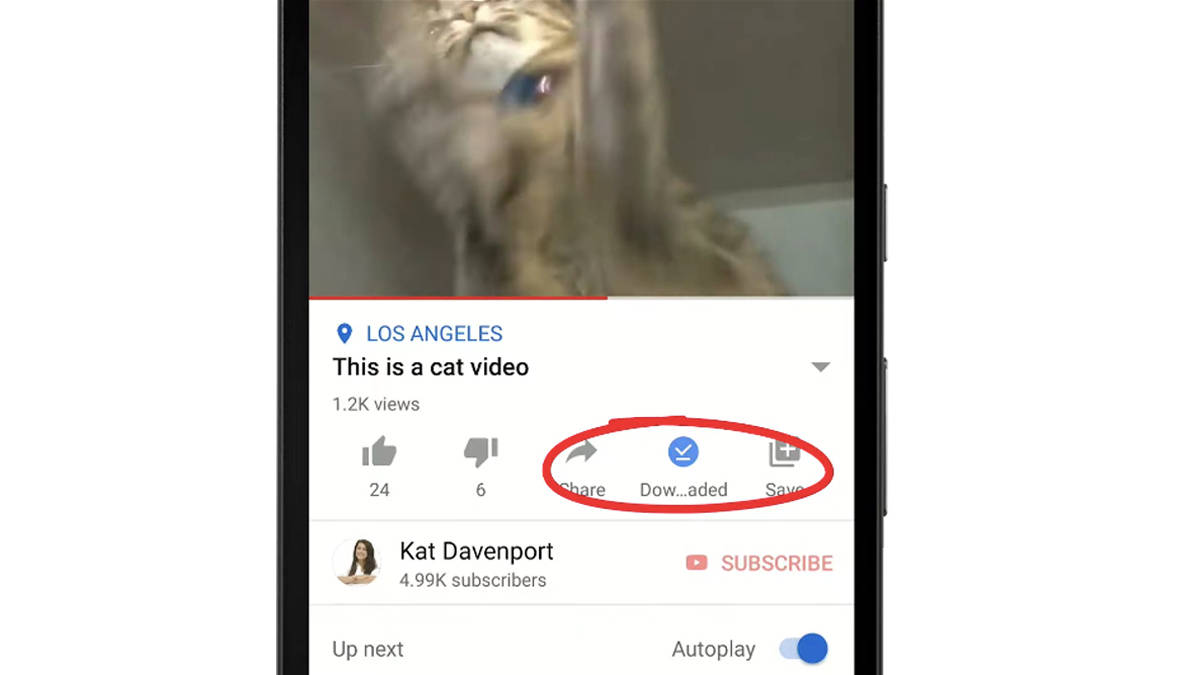 How to Download Youtube Videos Free