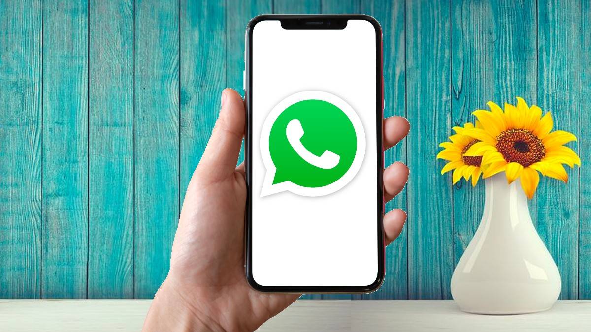 the-government-implements-new-it-rules-which-result-in-a-ban-on-19-lakh-indian-accounts-in-may-2022