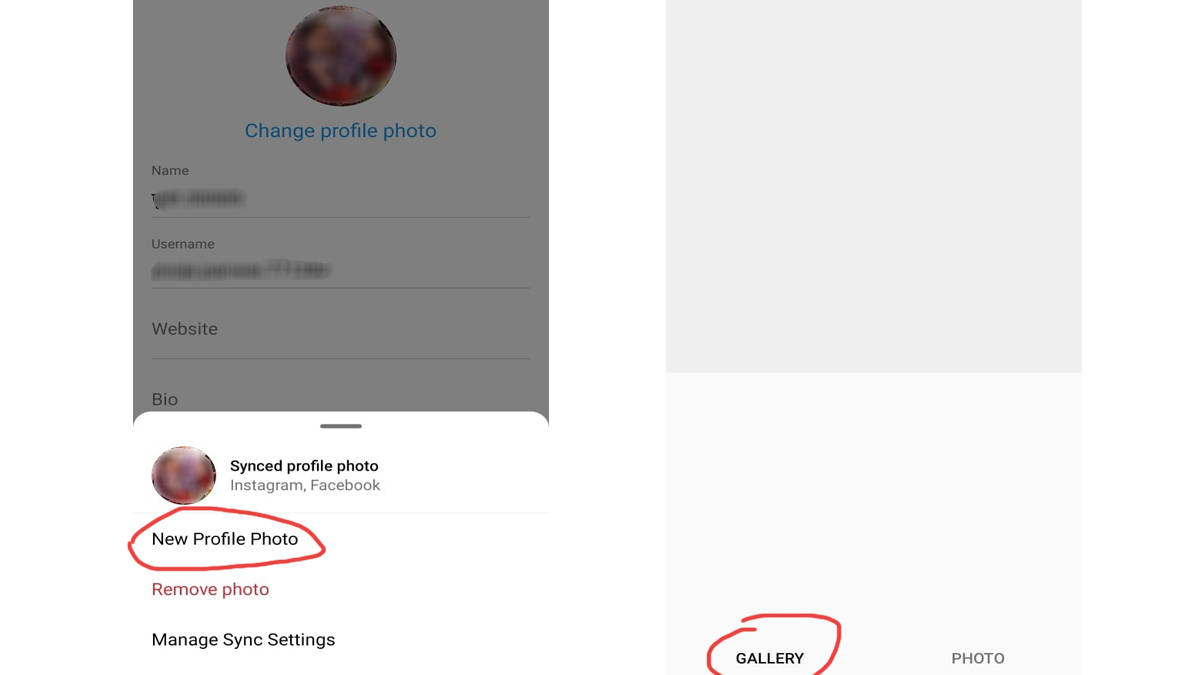 75 independence day how to change tiranga dp instagram whatsapp