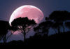 Super Moon 2022 The last supermoon of the year will appear Next Week All Details Here
