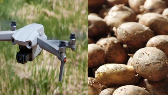viral video Bihar man orders drone camera on Meesho but receives potatoes inside box
