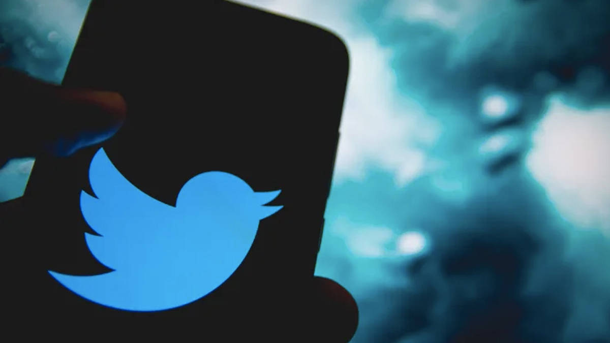 elon musk fired more than 90 percent twitter employees in india