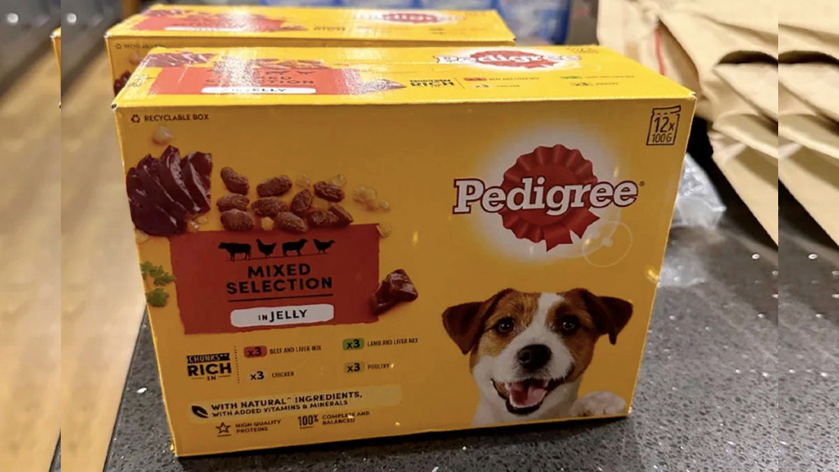 user ordered Apple MacBook Pro amazon delivered Pedigree dog food