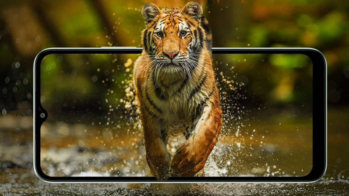 lava yuva 2 Pro launched in india at 7999 price check feature and specifications