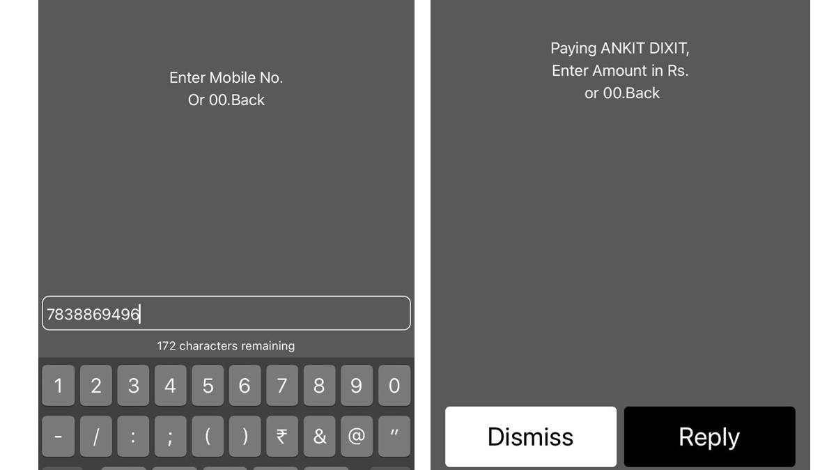 upi payment without internet in hindi
