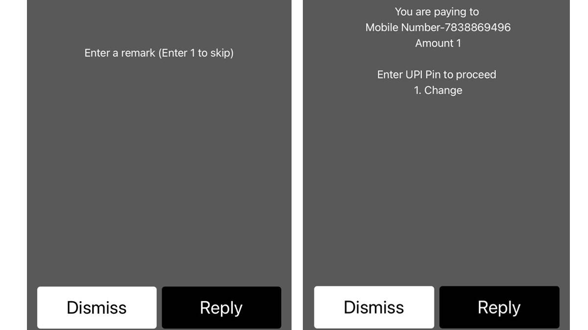 upi payment without internet in hindi