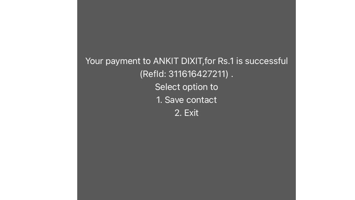 upi payment without internet in hindi