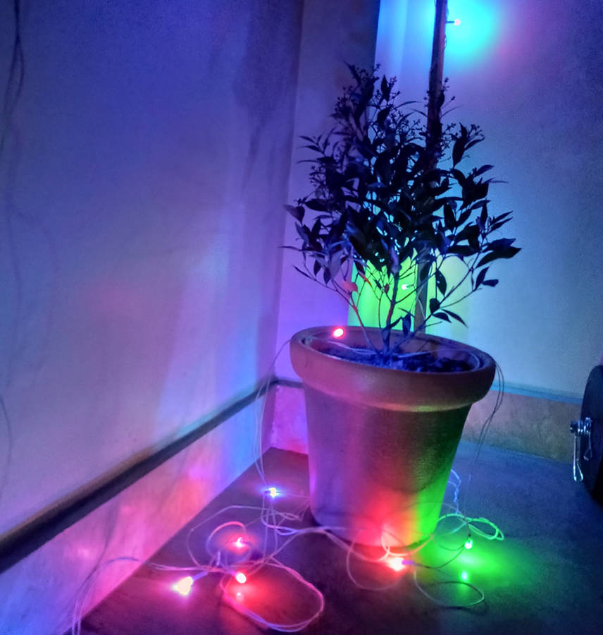 redmi-12c-camera-sample