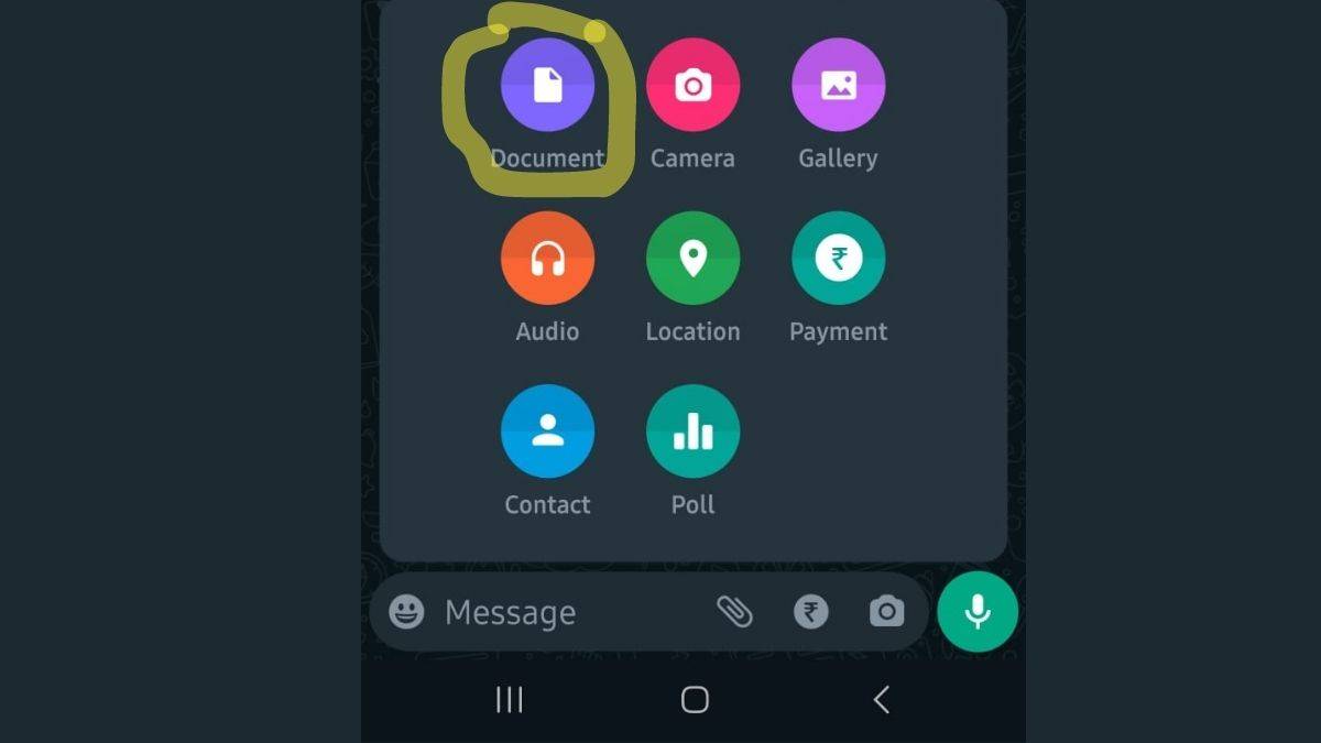 WhatsApp Image