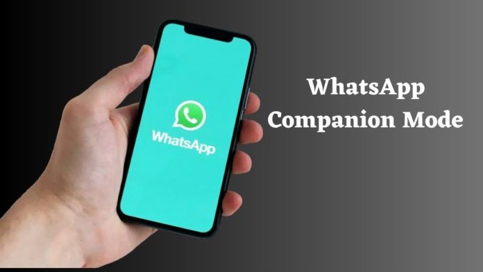 WhatsApp Companion mode for iOS