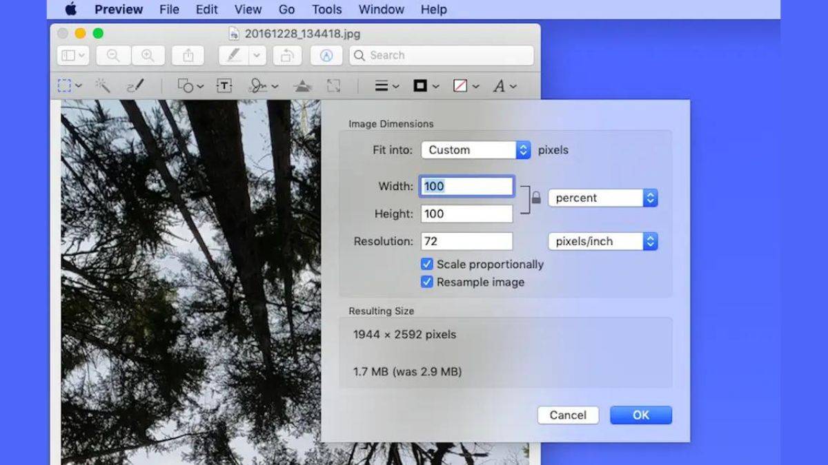 mac os Preview