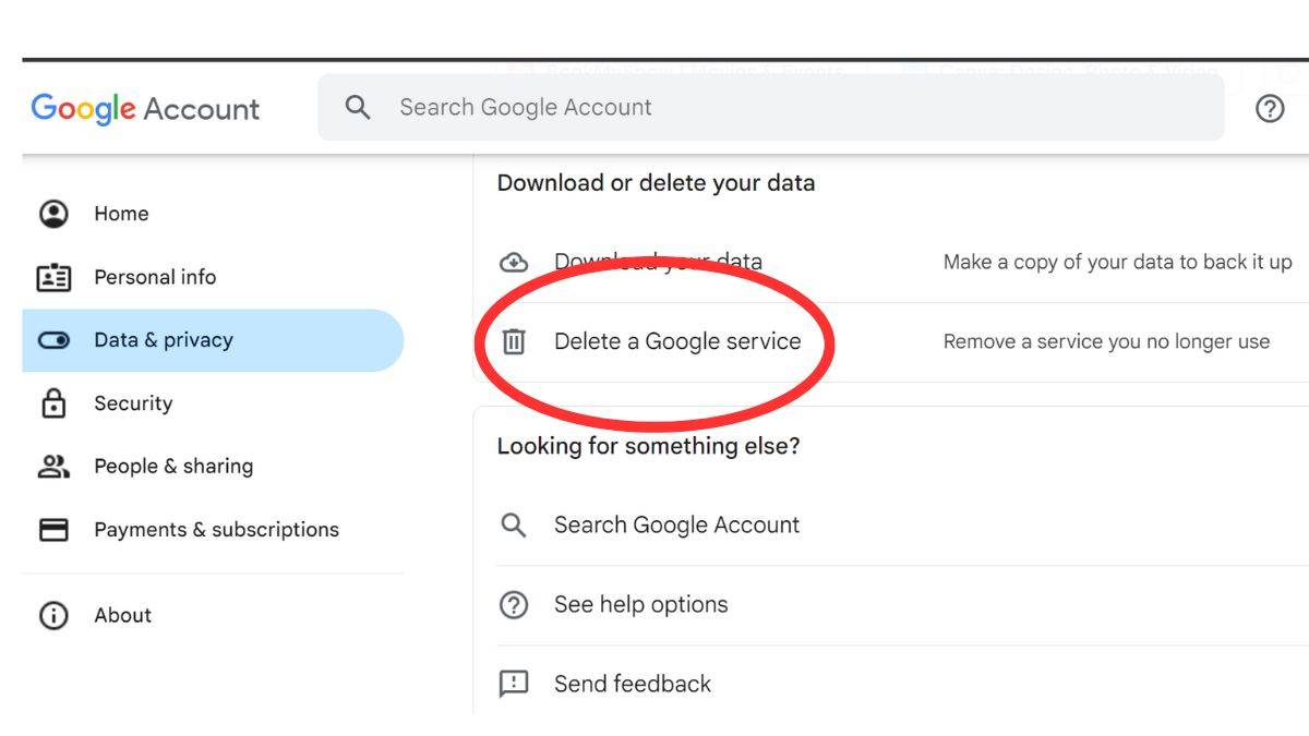 Google Account Delete