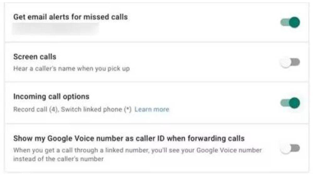 Google Voice App