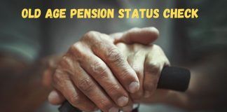 old age pension status check